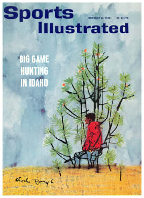 42235 - Cover Image